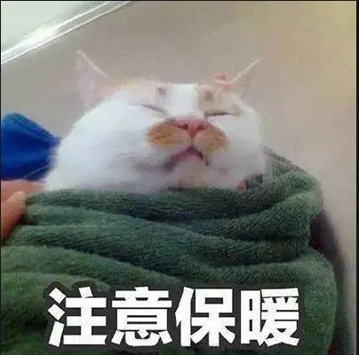 速看!春节天气最新出炉! 速看!春节天气最新出炉!