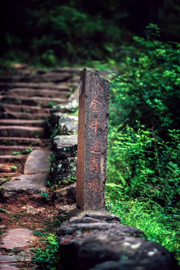 就在广元过年！这些春节旅游新玩法，给你安排得明明白白！