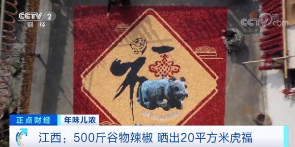 江西：500斤谷物辣椒 晒出20平方米虎福