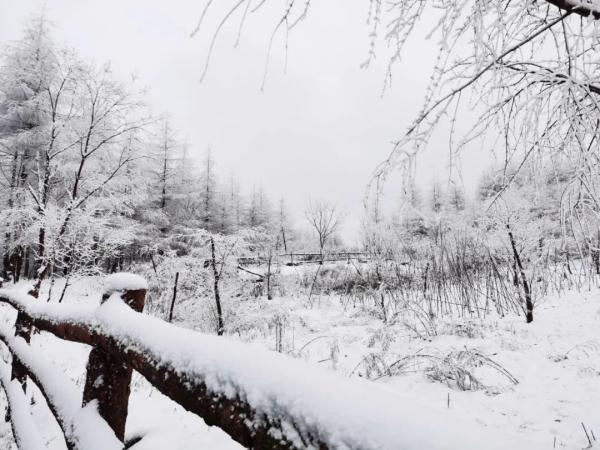 就在广元过年！这些春节旅游新玩法，给你安排得明明白白！