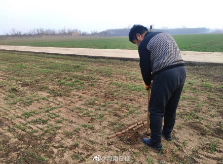 河南启动金村东周王陵区考古勘测对追索流失海外文物具有重要意义