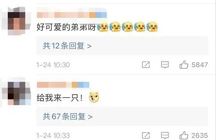 弟弟为看守姐姐的雪鸭子，坐楼下2小时！网友：我弟一脚踹一个……