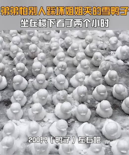 弟弟为看守姐姐的雪鸭子，坐楼下2小时！网友：我弟一脚踹一个……