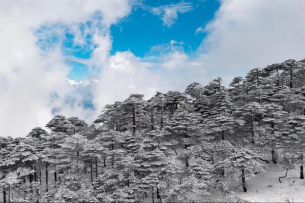 春節期間雲南這些地方有雪