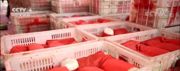 小小“菜篮子”装着大民生 各地全力保障市场供应