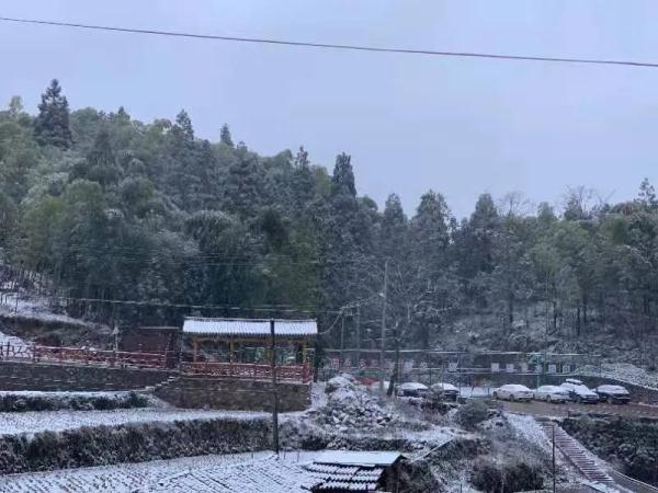 温州下雪了 温州下雪了