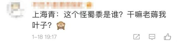 男子把“上海青”种成“万年青”！一棵菜传三代，网友评论亮了！
