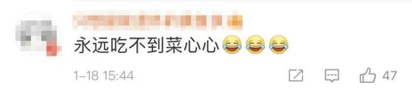 男子把“上海青”种成“万年青”！一棵菜传三代，网友评论亮了！