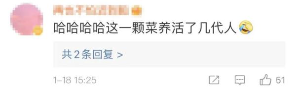 男子把“上海青”种成“万年青”！一棵菜传三代，网友评论亮了！