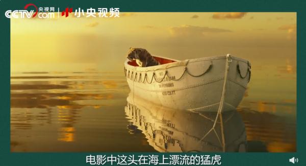 老虎团战斗力排行榜! 老虎团战斗力排行榜!