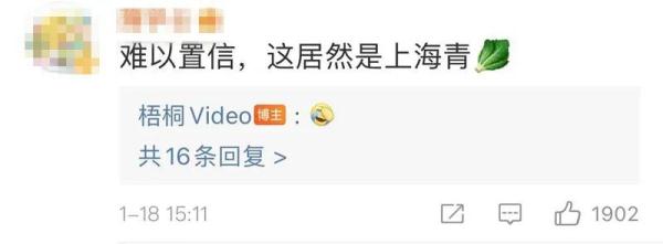 男子把“上海青”种成“万年青”！一棵菜传三代，网友评论亮了！