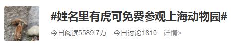 因为一条姓名有“虎”的消息,网友沸腾了 因为一条姓名有“虎”的消息,网友沸腾了