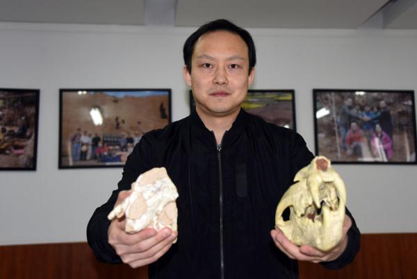 虎年说虎，地球上的老虎是怎么来的？