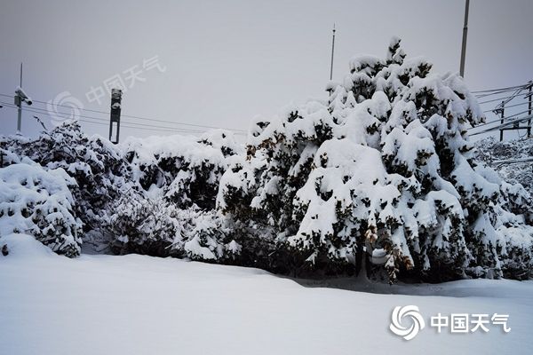 南方虎年首场大范围雨雪在线 体感湿冷