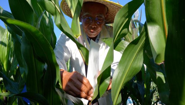 86岁老人为何57年没回家过年，选择留在海南？原因令人敬佩！