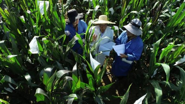 86岁老人为何57年没回家过年，选择留在海南？原因令人敬佩！