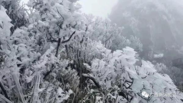 南宁大明山出现大面积雾凇景观 出行前需先预约购票