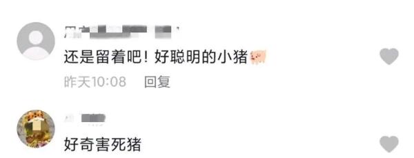 爆笑！女孩对猪圈喊男朋友名字，一只小猪神回应