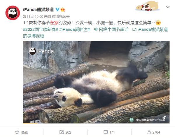 放假时你是这样吗？熊猫复制你在家的姿势