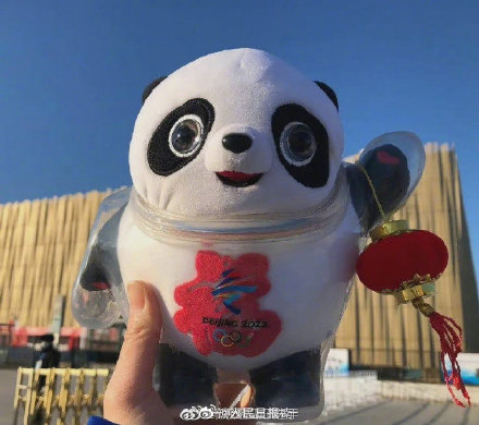 原来你是这样的冰墩墩！穿衣显瘦脱衣有肉