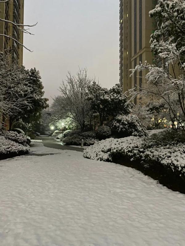 大雪真的来了！白茫茫一片！