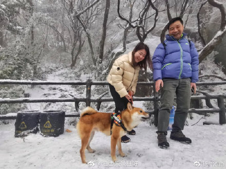 江西三清山游记：这座仙山，产在人间