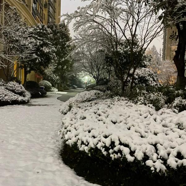 大雪真的来了！白茫茫一片！
