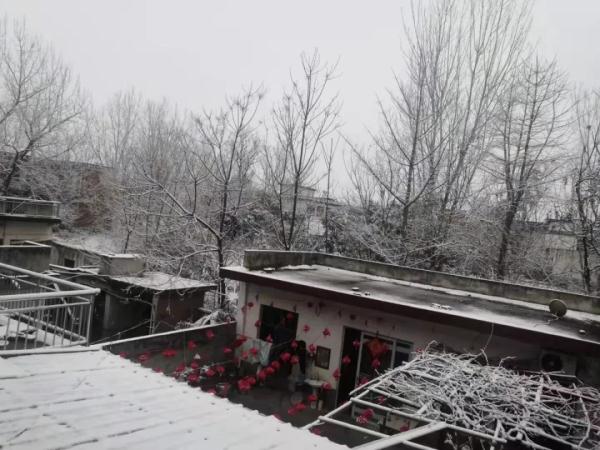 郑州错过了虎年首场降雪，昨晚河南大雪下到这儿了↓