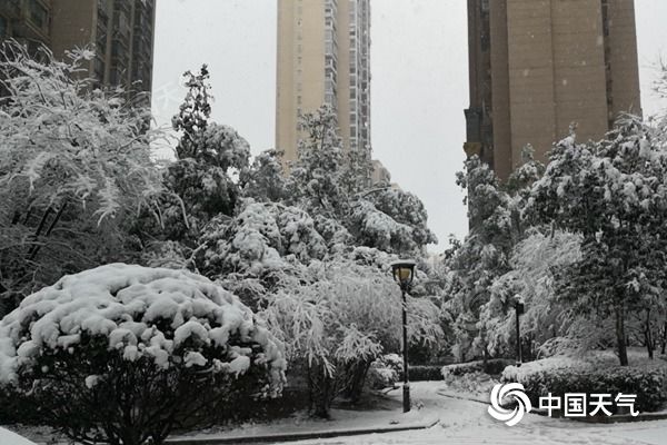 虎年开工首日安徽强降雪“上线”