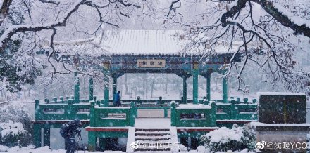 武汉南京杭州雪花相继开工!哪儿的雪景最令你心动? 武汉南京杭州雪花相继开工!哪儿的雪景最令你心动?