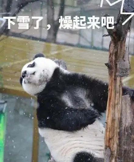 南京、镇江、常州、扬州、泰州、无锡注意！暴雪黄色预警！