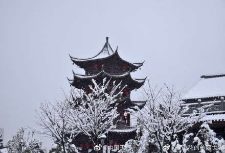 武汉南京杭州雪花相继开工!哪儿的雪景最令你心动? 武汉南京杭州雪花相继开工!哪儿的雪景最令你心动?