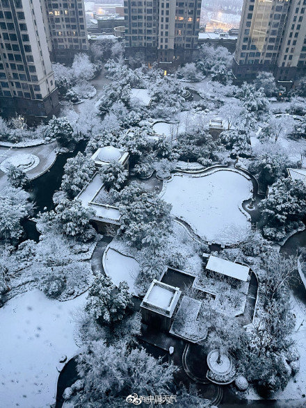 武汉南京杭州雪花相继开工!哪儿的雪景最令你心动? 武汉南京杭州雪花相继开工!哪儿的雪景最令你心动?