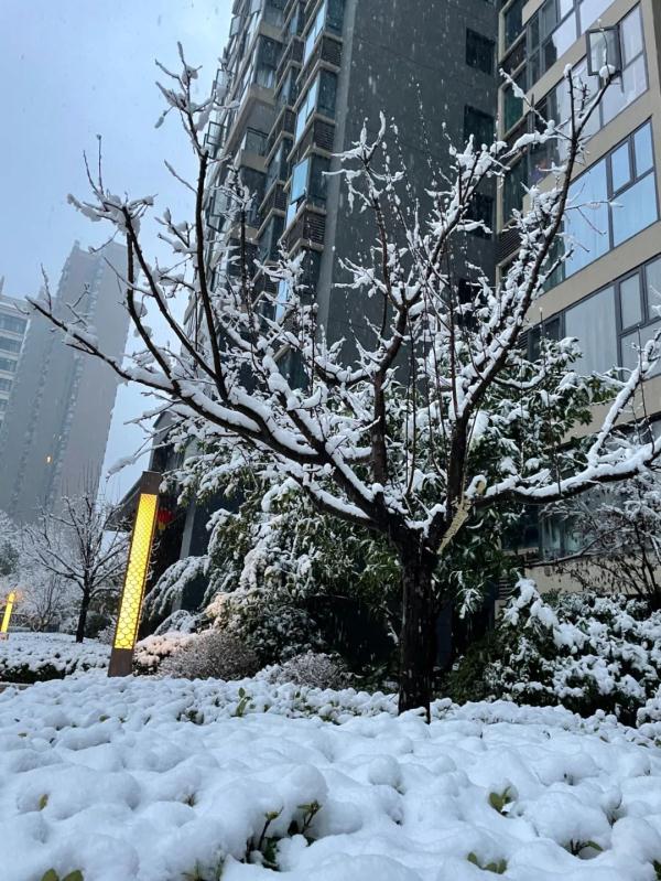 大雪真的来了！白茫茫一片！