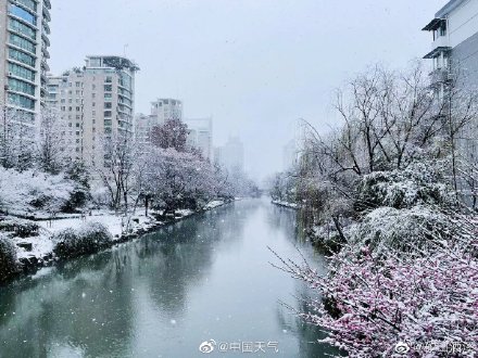 武汉南京杭州雪花相继开工!哪儿的雪景最令你心动? 武汉南京杭州雪花相继开工!哪儿的雪景最令你心动?