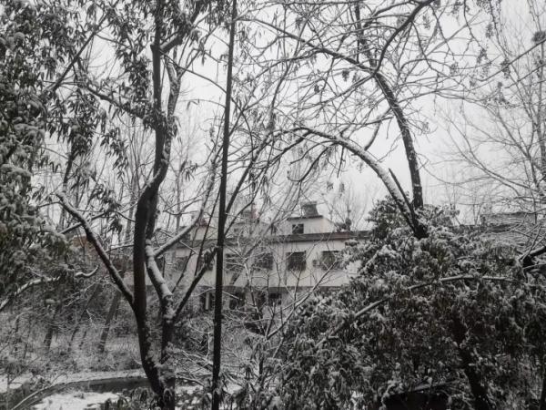 郑州错过了虎年首场降雪，昨晚河南大雪下到这儿了↓