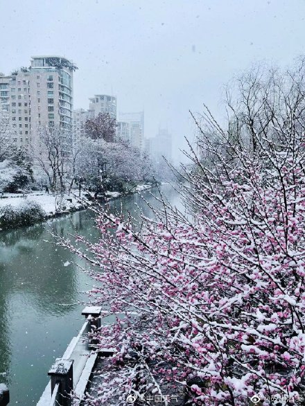 武汉南京杭州雪花相继开工!哪儿的雪景最令你心动? 武汉南京杭州雪花相继开工!哪儿的雪景最令你心动?