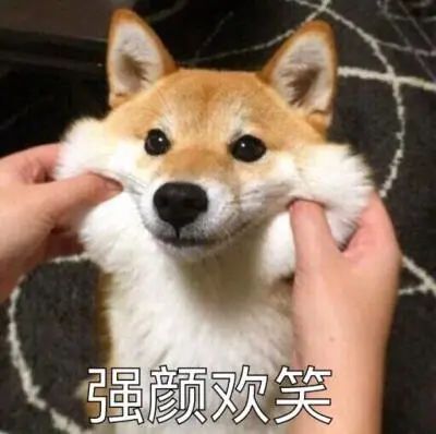 暴雪预警!上海又要下雪了?上海人虎年开工“趟趟滴”… 暴雪预警!上海又要下雪了?上海人虎年开工“趟趟滴”…