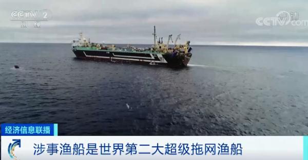 令人震惊！法国海域惊现超10万条死鱼！或是故意丢弃？就像“移动的巨型地毯”