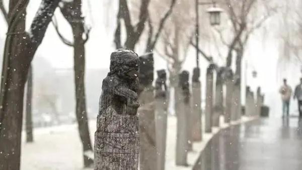 一场春雪，定格“醉美”长安