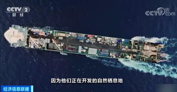 令人震惊！法国海域惊现超10万条死鱼！或是故意丢弃？就像“移动的巨型地毯”