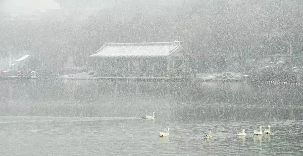 一场春雪，定格“醉美”长安