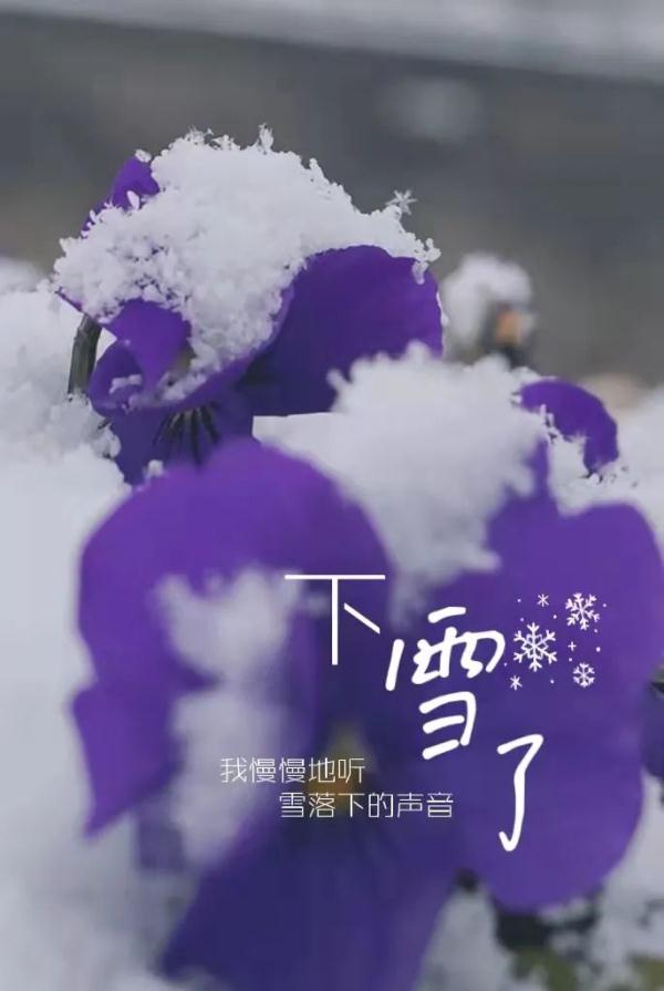 一场春雪，定格“醉美”长安