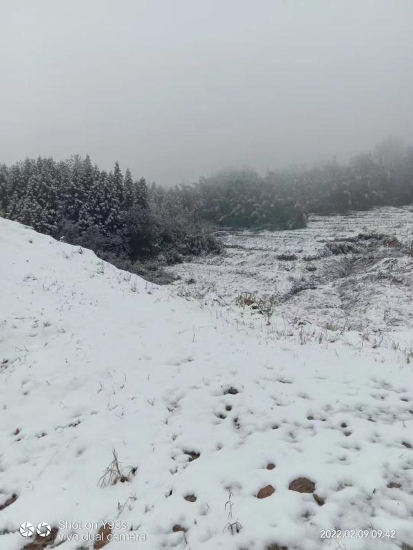 刚刚！南昌下雪了！