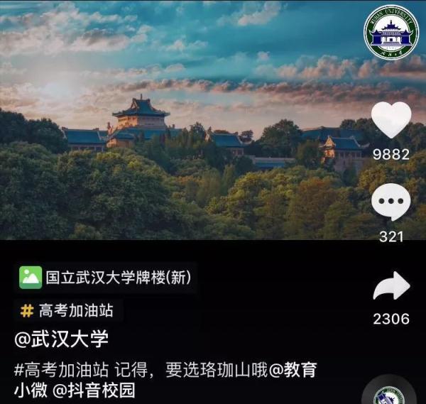 高清画面!武大网红小狐狸过年又胖了?网友:快找个伴 高清画面!武大网红小狐狸过年又胖了?网友:快找个伴