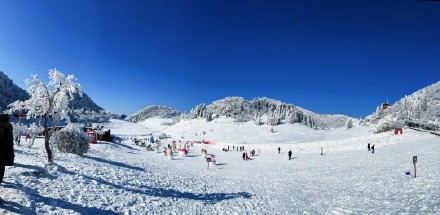 关于金佛山景区2月9日、10日门票预约已达饱和的公告 关于金佛山景区2月9日、10日门票预约已达饱和的公告