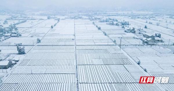为什么湖南这个冬天降雪特别多？