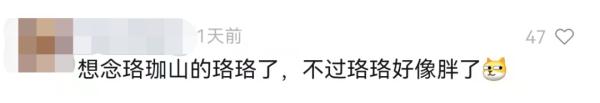 高清画面!武大网红小狐狸过年又胖了?网友:快找个伴 高清画面!武大网红小狐狸过年又胖了?网友:快找个伴
