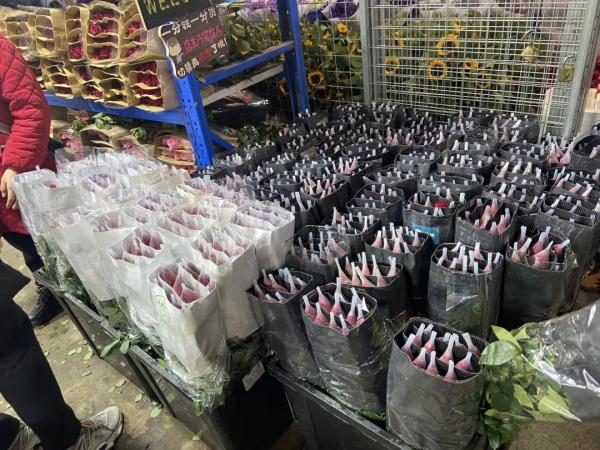 十年来花价最高情人节？一支红玫瑰超20元？
