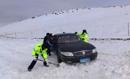 雪深1米！多辆车被困青海海拔3700米垭口